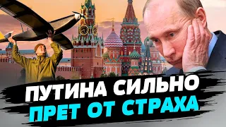 Путину хочется, чтобы был порядок, как при Сталине — Дмитрий Низовцев