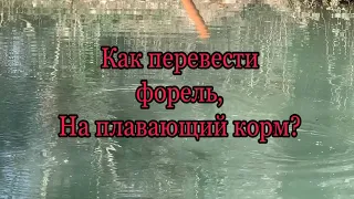 форель не ест плавающий корм!