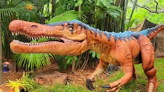 Are Dinosaurs 🦖 Playing Hide and Seek With Us? We Investigate! #zoology