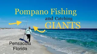 Pompano Fishing & GIANTS! #fyp #florida #fishing #viral #pompano #girl #fishingtips #pensacola