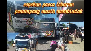 POLL NPM‼️ SATU MINGGU PASCA LEBARAN PENUMPANG MASIH MEMBLUDAK