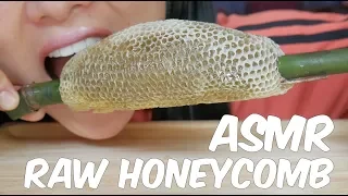 ASMR RAW HONEYCOMB (EATING SOUNDS) | SAS-ASMR Part 4