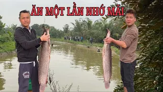 Cá Nheo nuôi 5 năm.To như cá Sấu,Nướng Ăn đến đâu mê mẩn đến đó