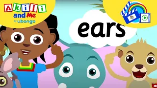 My Body parts are for...? | Compilations from Akili and Me | Learning videos for kids