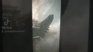 Thermo Godzilla versus King Ghidorah