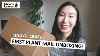 I Finally Did It: My VERY FIRST Plant Mail After 3 Years of Collecting & Crazy Unboxing