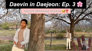 Daevin in Daejeon | Episode 3 | My first time seeing cherry blossoms!