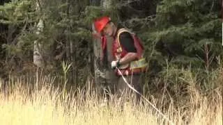 NAIT Forest Technology: Alumnus Profile