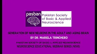 Generation of new neurons in the adult and aging brain by Dr. Mariela Trinchero – NEWS