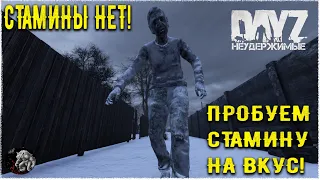 ГОВОРЯТ СТАМИНЫ НЕТ!!  1.20 НА DayZ НЕУДЕРЖИМЫЕ ✌!