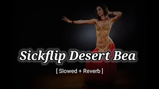 Soothing Sands: Sickflip's Desert Bea Slowed + Reverb | Tranquil Lofi Beats for Relaxation"