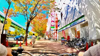 【4K】Japan Cycling Tour - Relaxing Autumn Bike Ride in Nagoya 名古屋 サイクリング