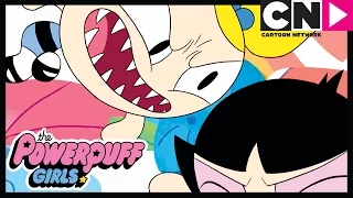 Powerpuff Girls | Buttercup Steals Octi | Cartoon Network