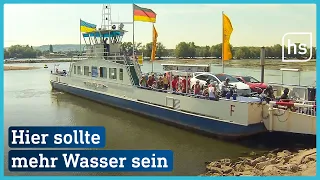 Schifffahrts-Betriebe schlagen Alarm: Niedrigwasser! | hessenschau