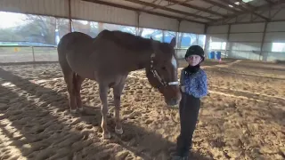 Class 20 PW Showmanship 3/12/24