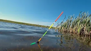 Рыбалка на утренней зорьке на поплавок. Ловля Карася.