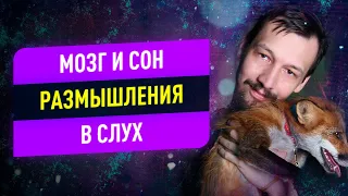 Мозг = сознание и личность? Мозг и сон. Размышления вслух | Игорь Лосeв 12+