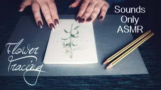 ✏️ Tracing Paper ASMR 🌼 A Flower Drawing 🌼 No Talking, Crinkles and Pencils