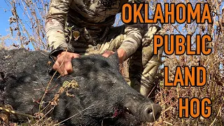 Bowhunting Public Land in Oklahoma