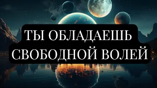 СОЗДАВАЙ СВОЕ БУДУЩЕЕ СОЗНАТЕЛЬНО. ВНЕШНЯЯ СИЛА. Стори Уотерс