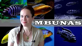 The Mbuna Aquarium - Lake Malawi African Cichlids