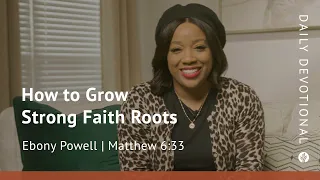 How to Grow Strong Faith Roots | Matthew 6:33 | Our Daily Bread Video Devotional