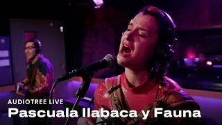 Pascuala Ilabaca y Fauna - Por Que Se Fue la Paloma | Audiotree Live