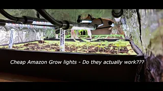 Cheap Amazon grow lights - Do they work? are they worth it?