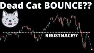 Dead Cat BOUNCE?? (SPY, QQQ, FB)