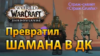 Шаман в Торгасте: МЕГА тотемы и Смертельный сглаз | Shadowlands Alpha