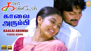 Kaalai Arumbi - HD Video Song | காலை அரும்பி | Kana Kandaen | Srikanth | Gopika | Vidyasagar