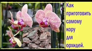 Как приготовить самому кору для орхидей.