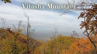 Hiking Vitosha Mountain in Sofia, Bulgaria