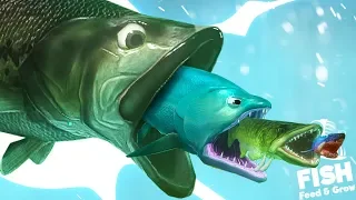 ПРОГЛОТИЛ ОКЕАН - Эволюция рыбы! Рыбий челлендж Feed and grow fish