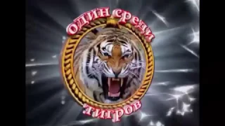 Программа "Один среди тигров"