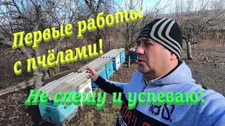 Какие работы с пчелами после облёта я делаю! Не спешу пчеловодить и не зеваю!