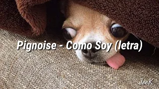 Pignoise - Como Soy (Letra)