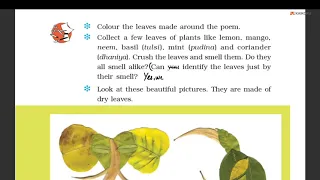 NCERT | Class 3 | EVS | Looking Around | Chapter 2 |  The Plant Fairy | Tamil