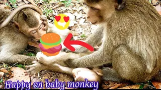 Wow! They are really hillarious monkey but one monkey is trying to bite on penis
