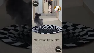 #dogsfunnyvideo dog vs the optical illusion rug 🐩 #shorts