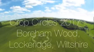 Crop Circles 2017 Boreham Wood, Nr Lockeridge, Wiltshire