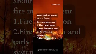 Forest Fire Management