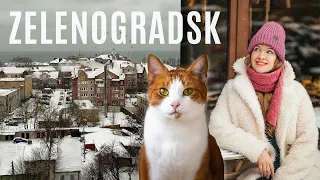 Russian City of CATS 🐈 | Exploring Zelenogradsk, Kaliningrad Oblast