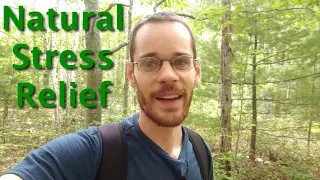 Following Natural Impulse To Connect With Nature And Relieve Stress