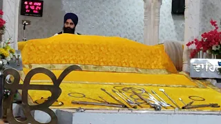 kale likh na lekh freeda hazoori ragi peace of mind best peaceful shabad guran di bani radhikasharma