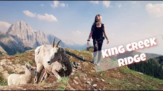 KING CREEK RIDGE HIKE | KANANASKIS AB | CRAZY WILDLIFE EXPERIENCE!