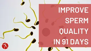 Improve Sperm Quality in As Little as 91 Days