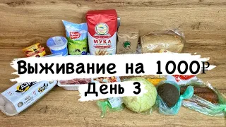 Выживание на 1000 рублей в 2024 году! / День 3 /Экономное меню / Эксперимент / Экономия/ Закупка 🍏