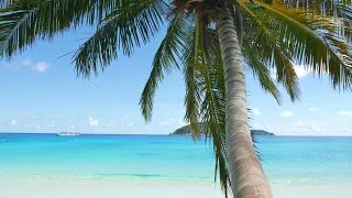 Ocean Waves On Tropical Island Maldives Ambience Sound, Paradise Beach Sounds For Relaxation