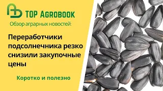 Переработчики подсолнечника резко снизили закупочные цены. TOP Agrobook: обзор аграрных новостей